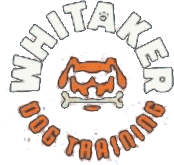 Whitaker Dog Training